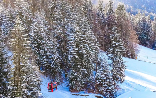Lux Garden Hotel
