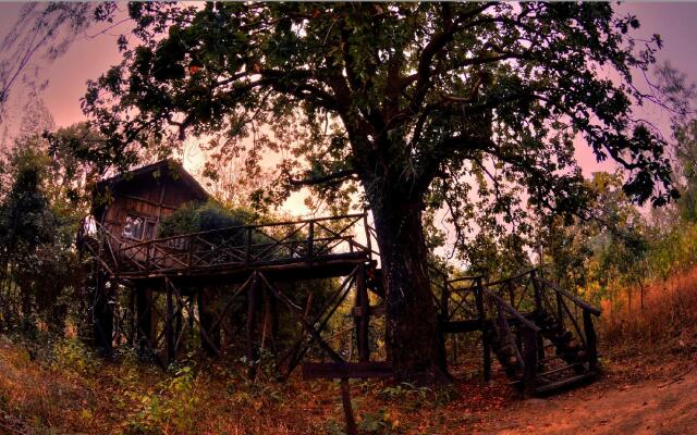 Pugdundee Safaris- Tree House Hideaway