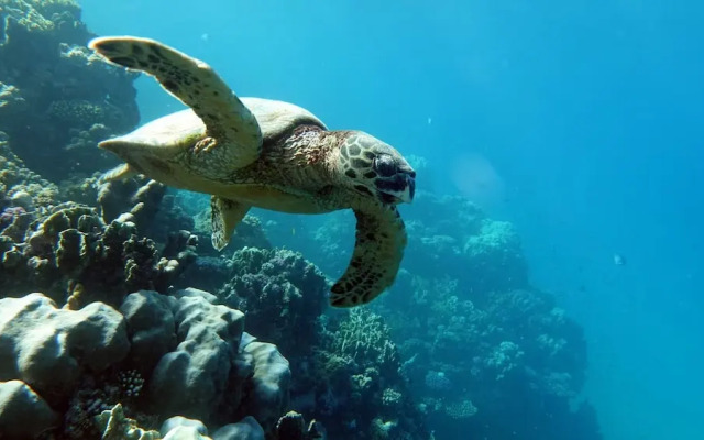 South Gate Hotel Okinawa