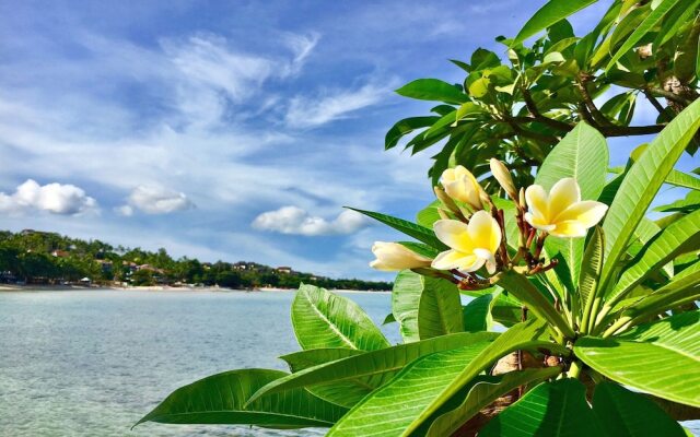The Villas by The Sarann
