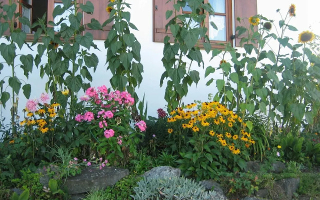 Apartment in the Allgau With View of the Bavarian Alps