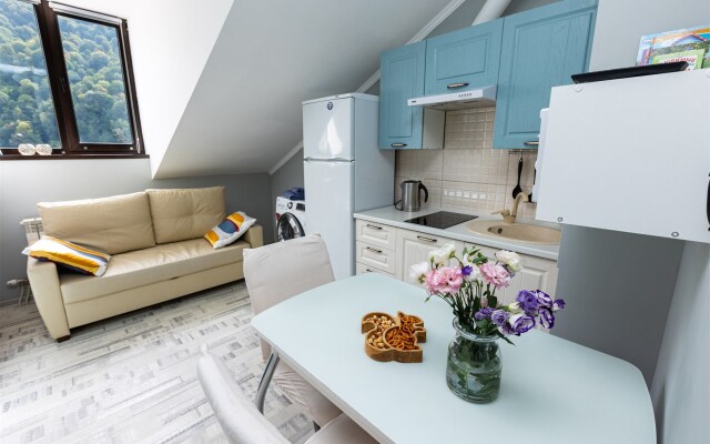 Studiya v Krasnoy Polyane