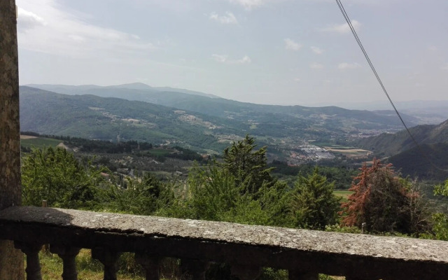 Fattoria di Cintoia