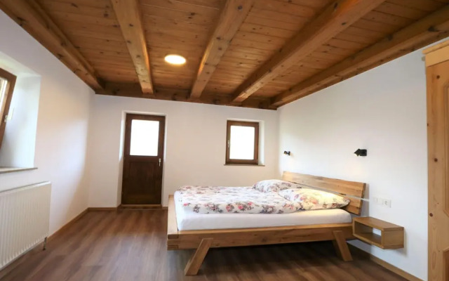 Renovated Farmhouse Stoanerbauer With View