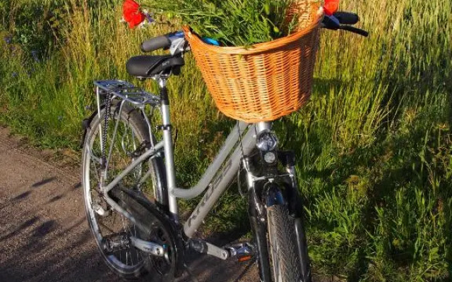 Agroturystyka Lolkowo