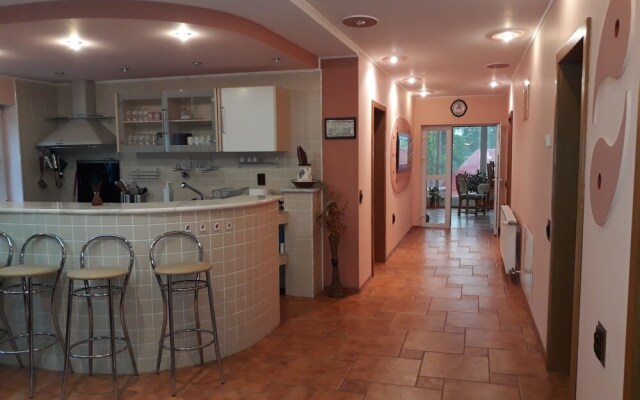 Vila Panoramic