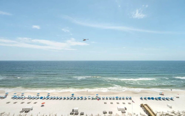 Indigo W0901 Plus Cabana