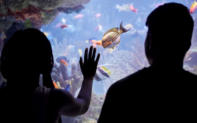 Hyatt Place Boston/Seaport District