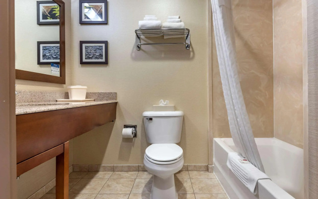 Comfort Inn & Suites Farmington - Victor