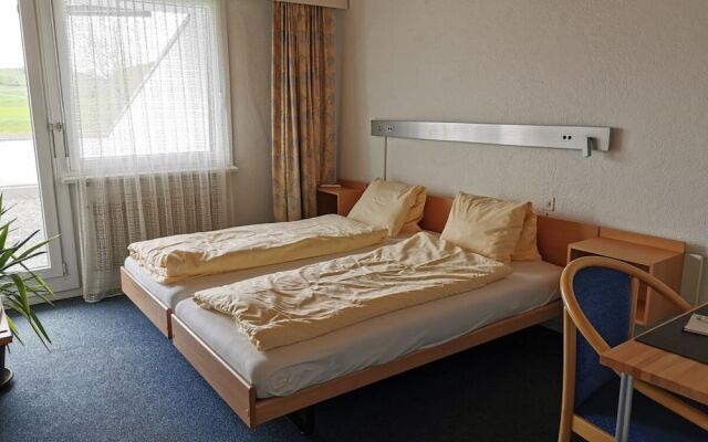 Erlebnisland Grizzlybär