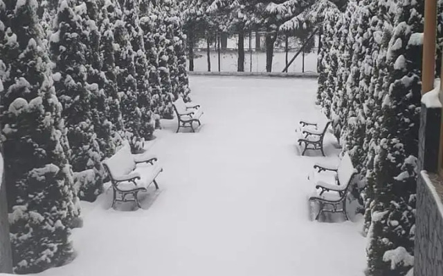 Miraj Poiana Brasov