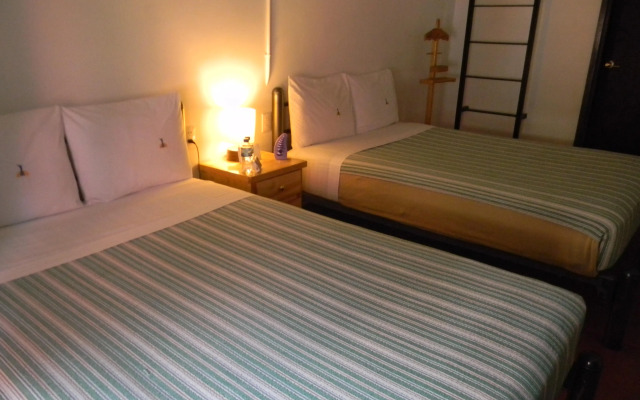 Mexico City Hostel