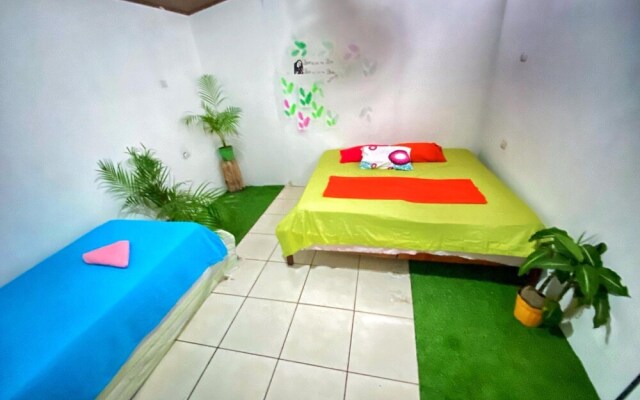 Passifloras Hostel