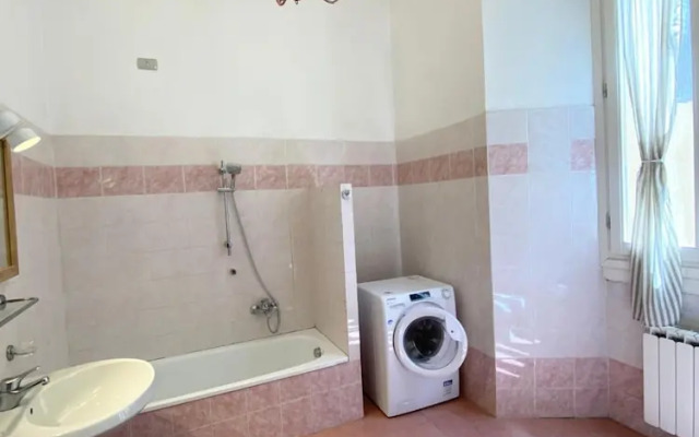 Greci 16 Bilo in Firenze