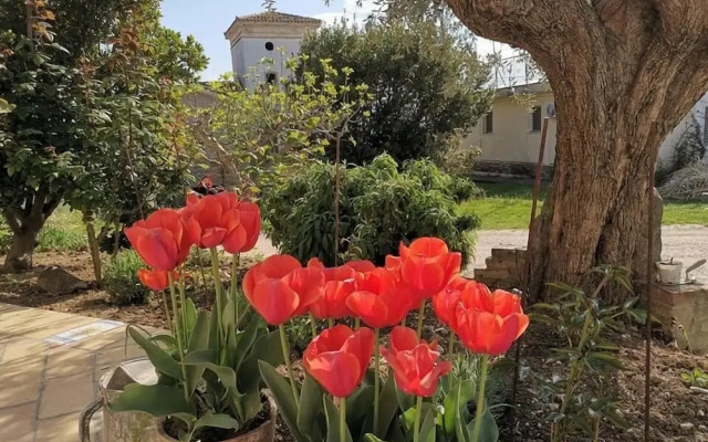 Agriturismo Torre Mannella