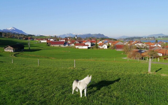 Restful Holiday Home near Ski Lift in Petersthal