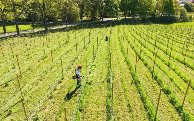 Thorbjørnrud Hotell