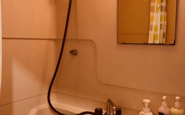 Fushimi-IVY Bunk bed twin 1