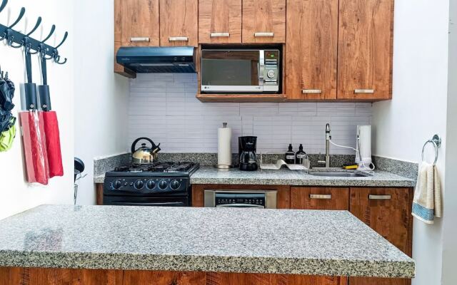 Renovated Aparment Avenida Amsterdam