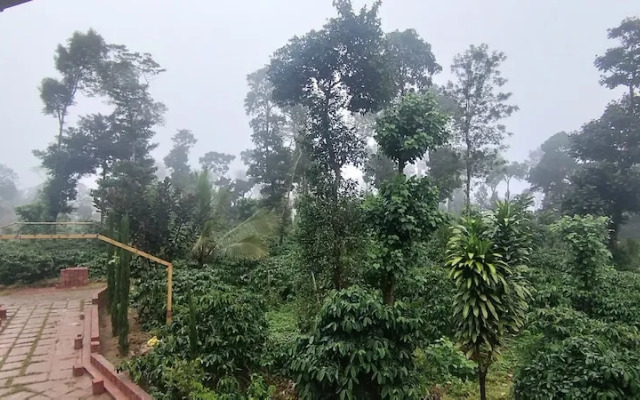 Heights Farm Stay - Coffee Estate Stay