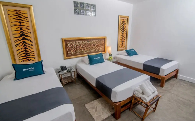 Mango Verde Bed & Breakfast