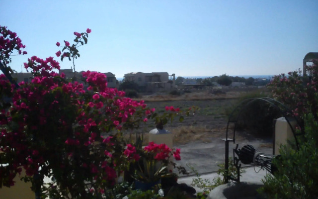 Marina's studios