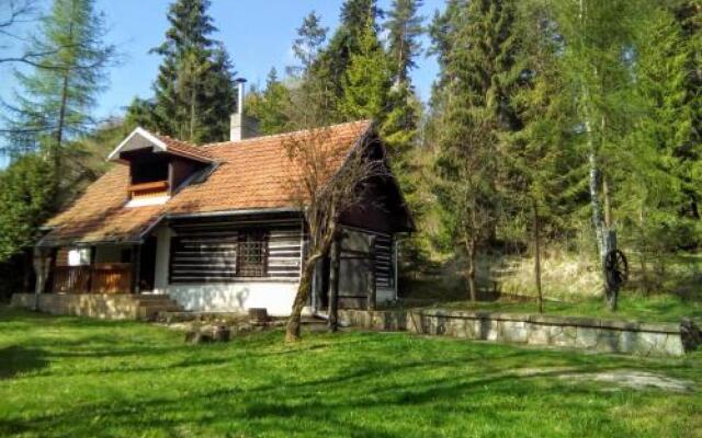 Baby Bear Cottage