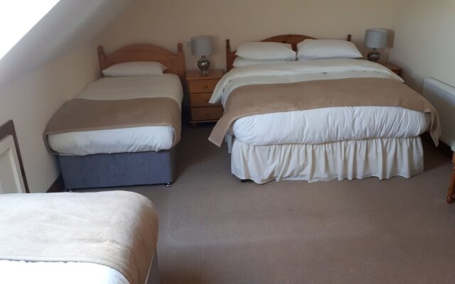 Dingle Harbour Nights B&B