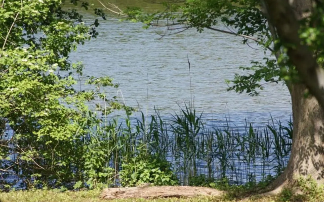 Farm at Grebiner See