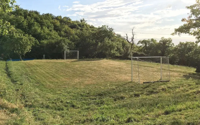 Apartment the Crocodile Feel the Nature