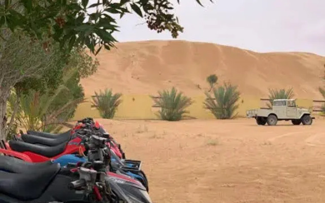 Golden Palm Oasis