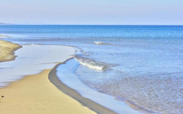Bajkowa Plaża - Muszelka