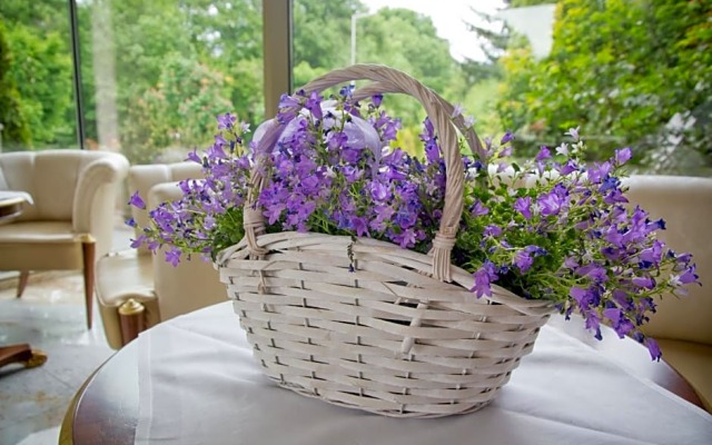 Hotel Gottwald