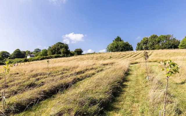Luxury Glamping - Charlcombe Valley Orchards Bath