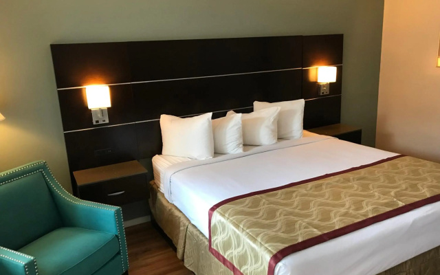 Olive Tree inn & Suites