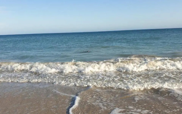 The Sparrow's Nest Beach-Front Self-catering