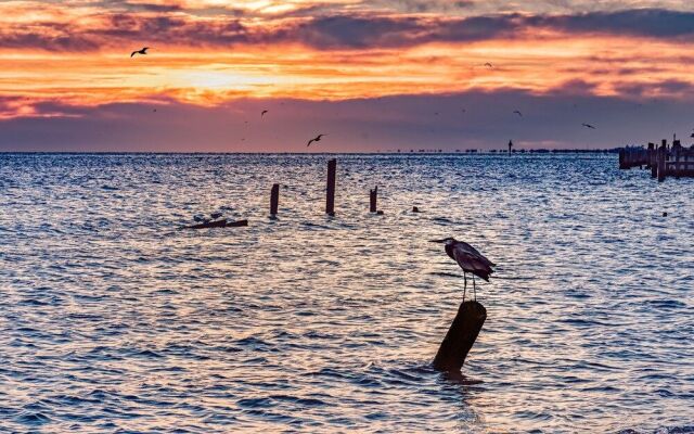 31st Beach - 2 Br Home