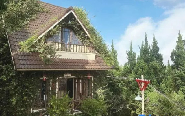 Thi Tran Co Da Lat