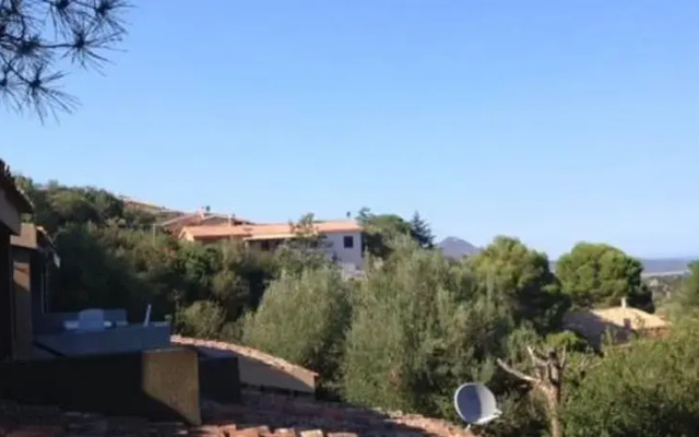 Costa Rei Asfodeli