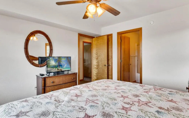 3068 - Carolina Sunshine