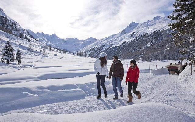 Bernina Express Eco Rooms&Breakfast