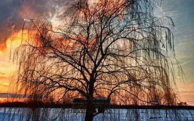 Erie Islands Resort and Marina