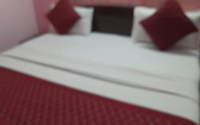 Airport Hotel Parikshit Palace