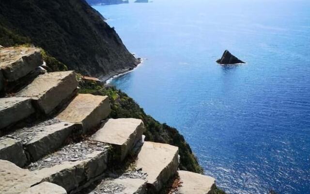 THE ONE - SUN 'n SEA ROOMS