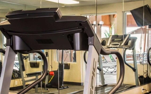 Comfort Inn & Suites Diamondale – Lansing