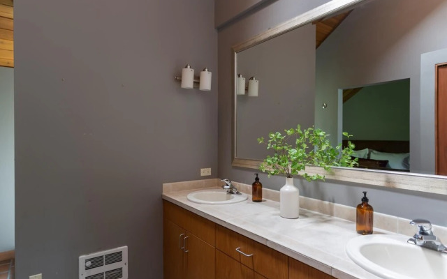 Salishan Lane - Skylight