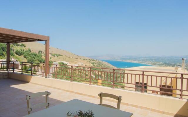Carnation - Morfi Village