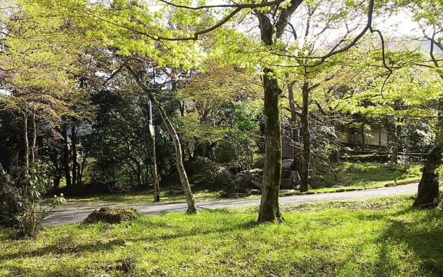 Cultural Property of Japan Senzairo