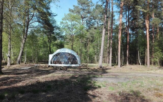 Gites Insolites de Sologne