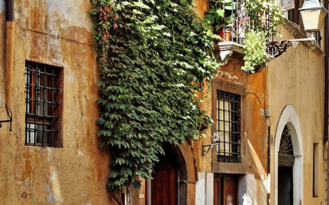 Town House - Treasurerome Collection